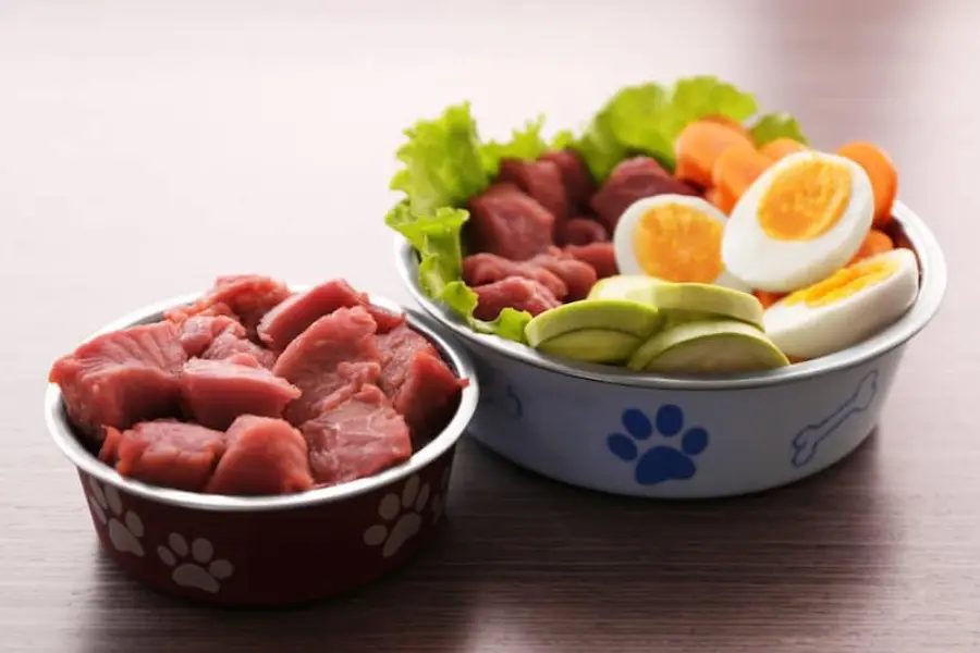بهترین غذا برای سگ نگهبان