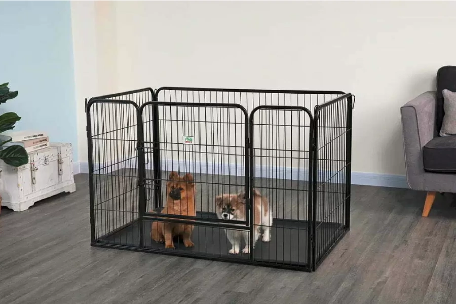 پارک سگ چیست